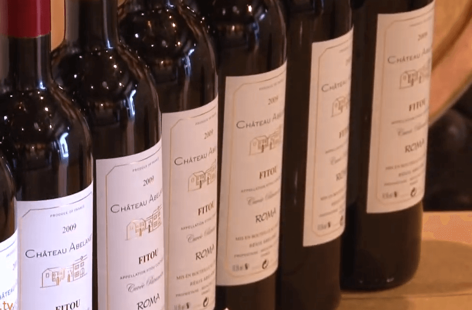 Château Abelanet nos vins