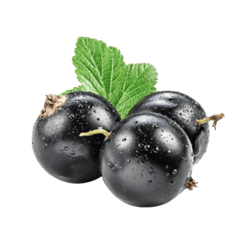 image fruits noirs