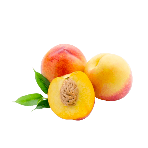 abricot