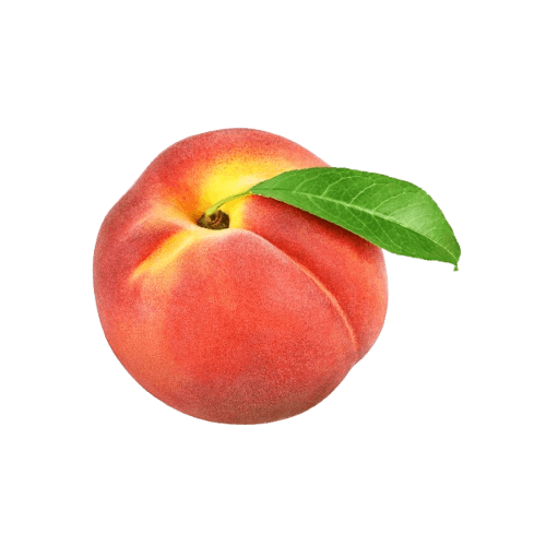 pêche